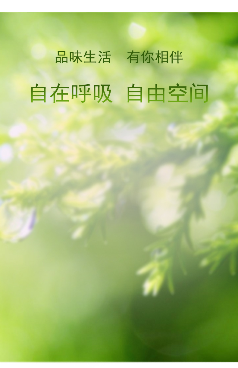 空氣清新劑_06.jpg
